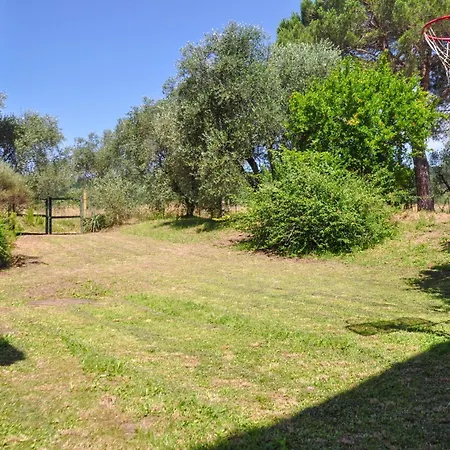 Casa Alta Tatil Evi *